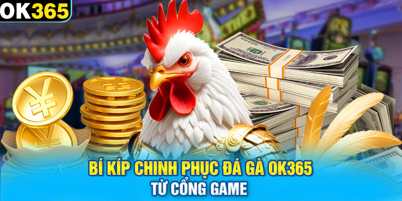 Bí kíp chinh phục Đá gà OK365 từ cổng game