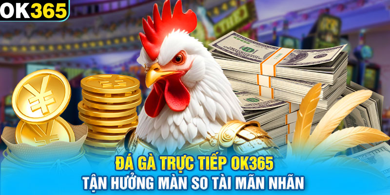 Đá Gà Trực Tiếp OK365 - Tận Hưởng Màn So Tài Mãn Nhãn