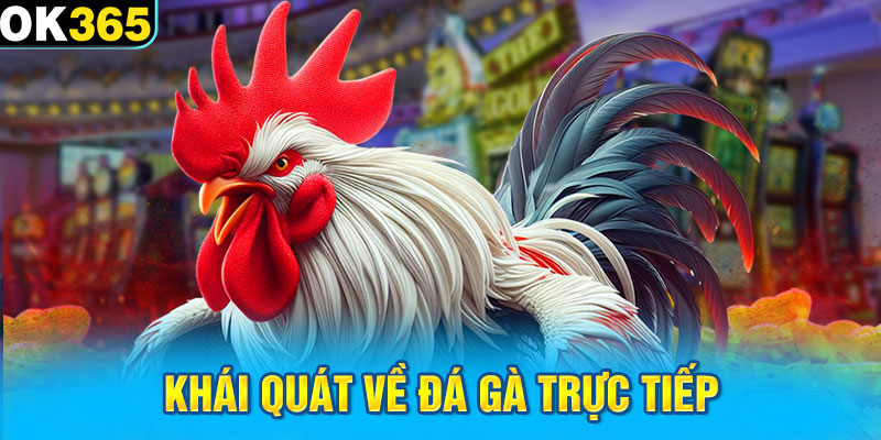 Khái quát về đá gà trực tiếp