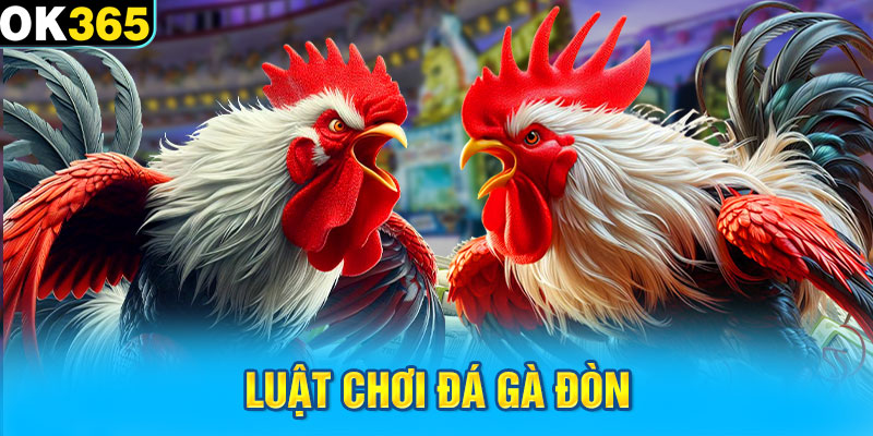 Luật chơi đá gà đòn