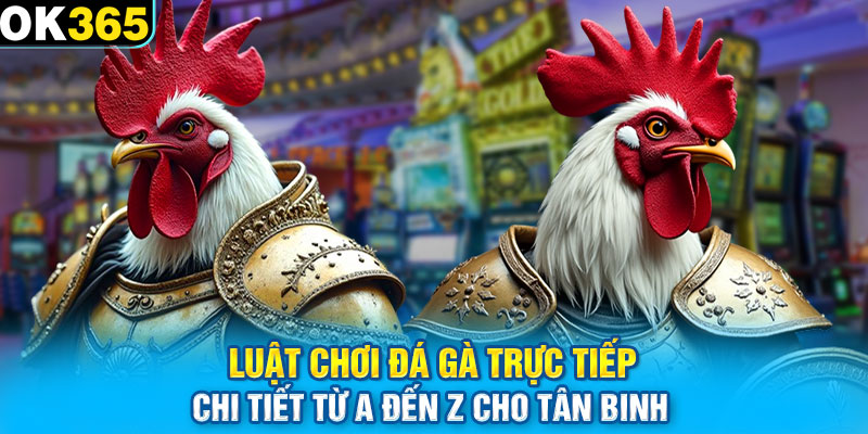 Luật chơi đá gà trực tiếp chi tiết từ A đến Z cho tân binh